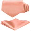 TIE G Solid Satin Color Formal Necktie and Pocket Square Sets in Gift Box (Dusty Salmon) view 1