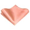 TIE G Solid Satin Color Formal Necktie and Pocket Square Sets in Gift Box (Dusty Salmon) view 4
