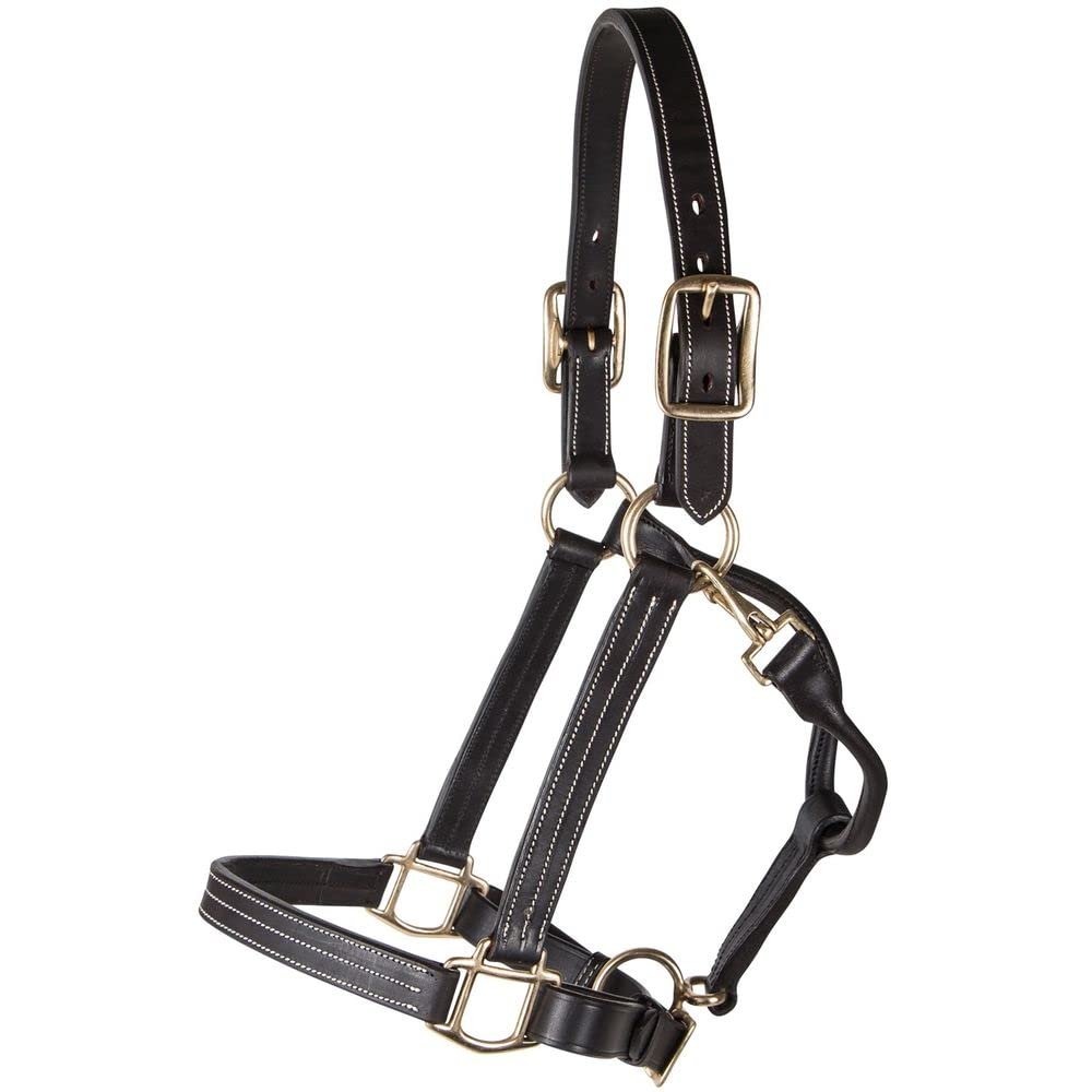 Billy Royal Belmont Leather Halter for Horses | Triple-Stitched Grade A Leather | Adjustable Fit with Throat Snap | Solid Brass Hardware | Size Thoroughbred
