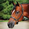 Billy Royal Belmont Leather Halter for Horses | Triple-Stitched Grade A Leather | Adjustable Fit with Throat Snap | Solid Brass Hardware | Size Thoroughbred view 2