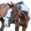Billy Royal Belmont Leather Halter for Horses | Triple-Stitched Grade A Leather | Adjustable Fit with Throat Snap | Solid Brass Hardware | Size Thoroughbred view 3