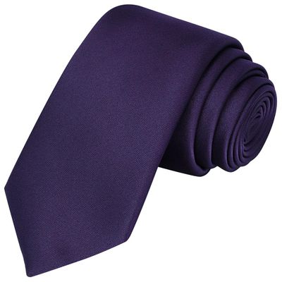 KissTies Boys Tie Royal Purple Satin Solid Necktie Teens Ties + Gift Box