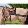 Equiband Equicore Concepts Complete System, Western view 2