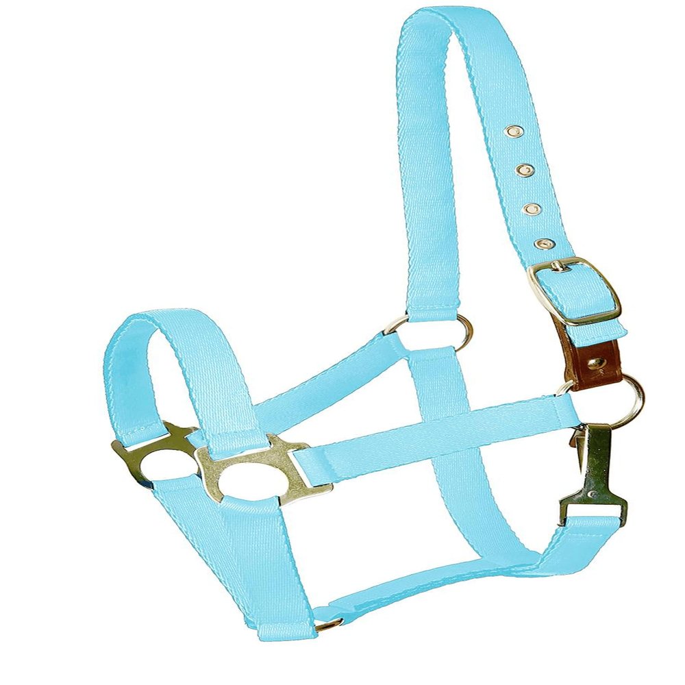 Gatsby Nylon Safety Breakaway Halter Oversize Blue