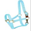 Gatsby Nylon Safety Breakaway Halter Weanling Blue view 1