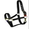 Gatsby Nylon Safety Breakaway Halter Weanling Blue view 2