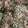 GRVCN Camo Netting Camouflage Net, Bulk Roll Sunshade Mesh Nets for Hunting Blind Shooting Military Theme Party Decorations view 2