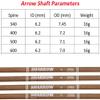 AMEYXGS 31 Inch 6.2 mm Pure Carbon Arrow Shaft 340/400/500/600 Spine Carbon Shaft Tube DIY Archery (24 pcs, 400 Spine) view 2