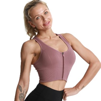 Sports Bra Women Yoga Tank Crop Top Fitness Push Up Sport Bras Shockproof Shirt Girls Running Athletic Quick Dry Vest (Color : Style A Purple, Size : Large)