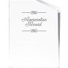 Appreciation Incline Slant Personalized Acrylic Award - 8" H Custom Trophy for Recognition with Free Laser Engraving Prime view 4