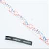 Baseball Bat Grip Tape AMA Sport Grip & Rip Cushioned Softball 1.10mm Grip Tape (Red/Blue on White) view 2