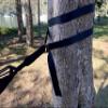 Hammock Bliss Deluxe Cinching Tree Straps - Heavy Duty and Extra Long Adjustable Straps with Seat Belt Buckle for Camping Hammock - Set of 2 view 2