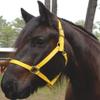 Triple E Medium Nylon Draft Halter Color: Royal Blue view 1
