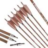 AMEYXGS Archery Carbon Arrows 31inch Practice Hunting Arrows Spine 340-600 with 4 Turkey Feathers for Recurve Bow Compound Bow (Spine 500/OD 7.1mm, 12pcs) view 1