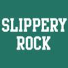 AS01 - Slippery Rock University Basic Block T Shirt - 2X-Large - Kelly Green view 2