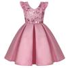 AIMJCHLD Party Dress for Toddler Little Baby Girls Flower Wedding Dresses Pageant Prom Ball Gowns Fancy Performance Formal Special Occasion Dress Size 2 3 Years (Bean Powder 100) view 1