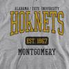 Alabama State University Official Est. Date Unisex Adult Pull-Over Hoodie,Athletic Heather, 2X-Large view 2