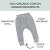 HonestBaby Multipack Honest Pants Joggers Pull on 100% Organic Cotton for Infant Baby and Toddler, Boys, Girls, Unisex, Gray Heather, 6-9 Months view 2