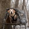 Momarsh Invisi Lab Replacement Cover for Dog Blind in Optifade Timber view 3