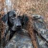 Momarsh Invisi Lab Replacement Cover for Dog Blind in Optifade Timber view 4