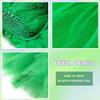 TWINKLEDE Women's Tulle Tutu Skirt Classic Elastic Layered Ballet Tutu Skirts for Women (G Sante Green) view 4