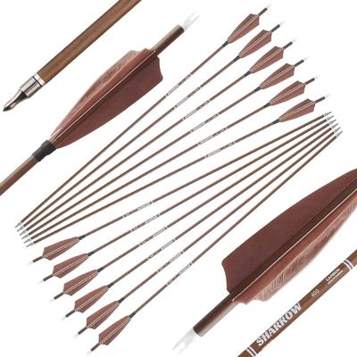 ZSHJGJR 31" Archery Carbon Arrows Spine 340 400 500 600 Hunting Arrows with Removable Tips Natural Feather Targeting Arrows for Compound & Recurve & Traditional Bow 6/12pcs (12, Brown, Spine 400)