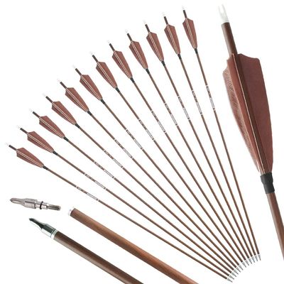 ZSHJGJR 31" Archery Carbon Arrows Spine 340 400 500 600 Hunting Arrows with Removable Tips Natural Feather Targeting Arrows for Compound & Recurve & Traditional Bow 6/12pcs (12, Brown, Spine 500)