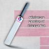 Mini Autograph Cricket Bat Natural Wood 15 Inches (Not Meant for Playing) view 3