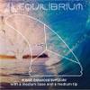 Scarfini  Equilibrium ECO Thruster (3 Fins Set)  Dual Tab, Large Size, Premium Handmade Surfboard Fins view 4
