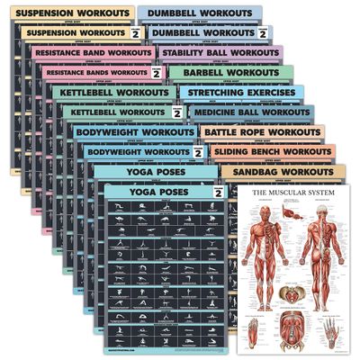 20 Pack - Exercise Poster Set: Dumbbell, Suspension, Battle Rope, Stretching, Bodyweight, Barbell, Yoga, Exercise Ball, Muscular, Kettlebell, Resistance Bands and More [Dark] (LAMINATED, 18 x 24)