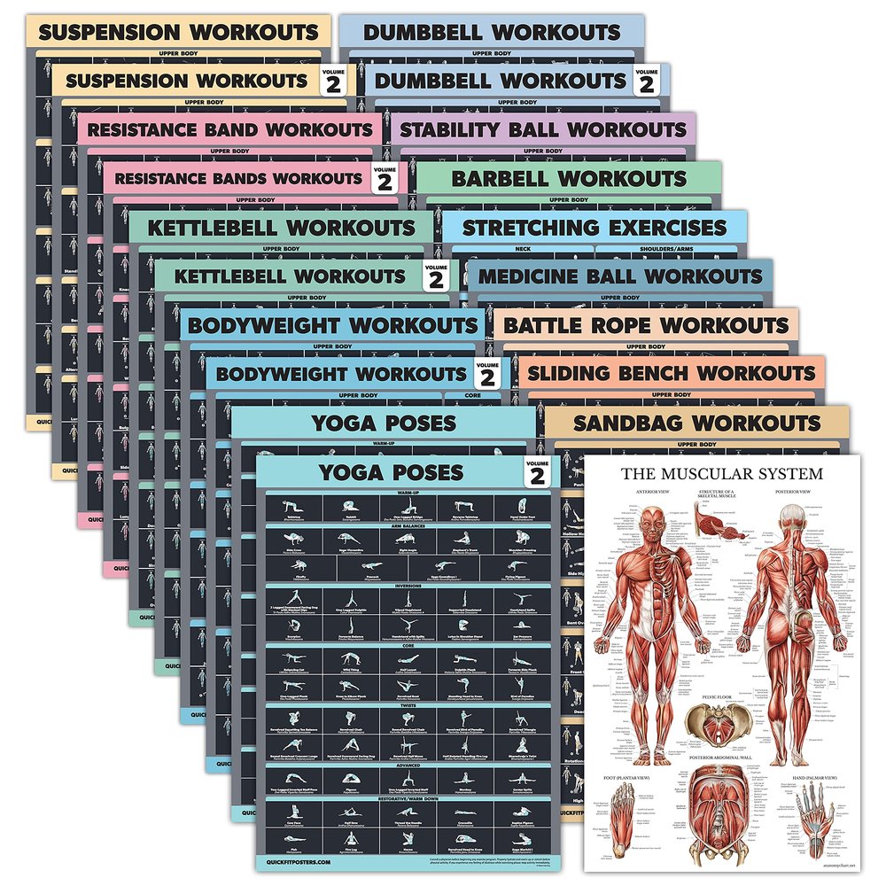 20 Pack - Exercise Poster Set: Dumbbell, Suspension, Battle Rope, Stretching, Bodyweight, Barbell, Yoga, Exercise Ball, Muscular, Kettlebell, Resistance Bands and More [Dark] (LAMINATED, 18 x 24)