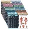 20 Pack - Exercise Poster Set: Dumbbell, Suspension, Battle Rope, Stretching, Bodyweight, Barbell, Yoga, Exercise Ball, Muscular, Kettlebell, Resistance Bands and More [Dark] (LAMINATED, 18 x 24) view 1