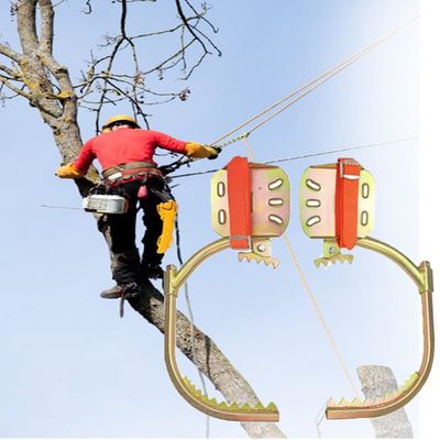 WZFANJIJ Tree Climbing Gear, Pole Climbing Spikes Adjustable Climbing Tree Shoes Non-Slip Pedal, 304 Stainless Steel Tree Climbing Tool for Hunting Observation, Picking Fruit,300Model