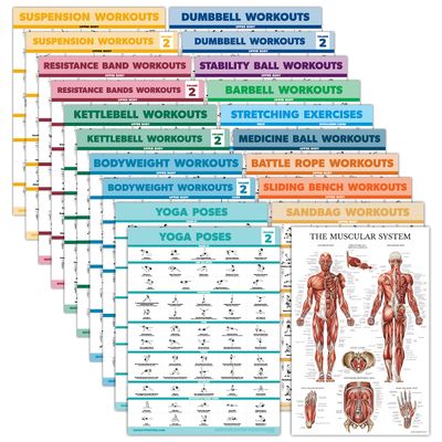 Palace Learning 20 Pack - Exercise Poster Set: Dumbbell, Suspension, Battle Rope, Stretching, Bodyweight, Barbell, Yoga, Exercise Ball - (LAMINATED, 18 x 24)