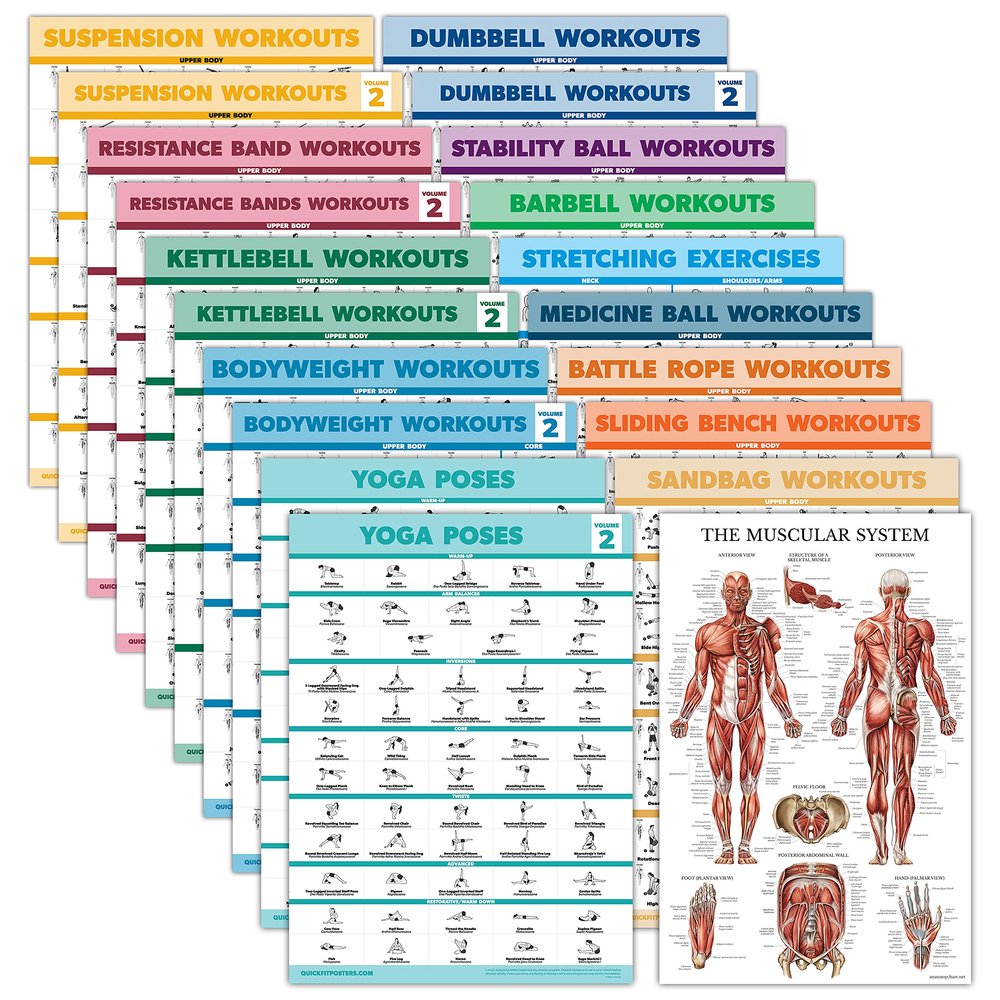 Palace Learning 20 Pack - Exercise Poster Set: Dumbbell, Suspension, Battle Rope, Stretching, Bodyweight, Barbell, Yoga, Exercise Ball - (LAMINATED, 18 x 24)