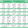 Palace Learning 20 Pack - Exercise Poster Set: Dumbbell, Suspension, Battle Rope, Stretching, Bodyweight, Barbell, Yoga, Exercise Ball - (LAMINATED, 18 x 24) view 4