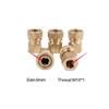TUXING Universal 1/8 BSPP Male to 8MM Female Quick-Disconnect Connector Brass Adapter (1/8 BSPP Male to 8mm Female) view 4