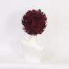 Aadesso Anime demon Kamado Tanjirou Men Women Heat Resistant Synthetic Hair Halloween view 2
