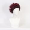 Aadesso Anime demon Kamado Tanjirou Men Women Heat Resistant Synthetic Hair Halloween view 4