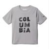 Columbia Youth Boys Grizzly Ridge Short Sleeve Graphic Shirt, Columbia Grey Undercover Type, X-Large