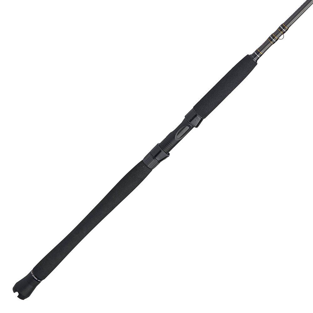 Penn Carnage III Inshore Spinning Fishing Rod
