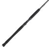 Penn Carnage III Inshore Spinning Fishing Rod view 1