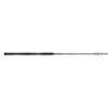 Penn Carnage III Inshore Spinning Fishing Rod view 3