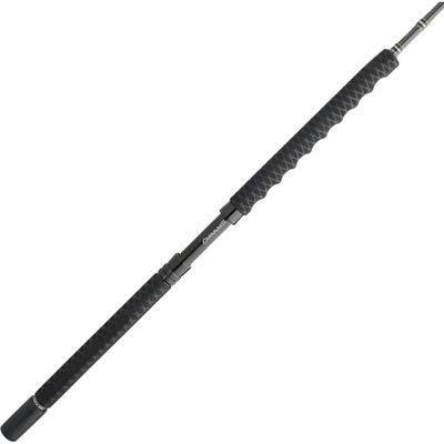 Penn Carnage III Boat Conventional Fishing Rod, 7' - Medium Light - 20-40lb - 1pc, Silver/Black/Gold