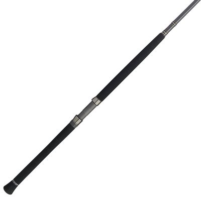 Penn Carnage III Boat Conventional Fishing Rod, Silver/Black/Gold