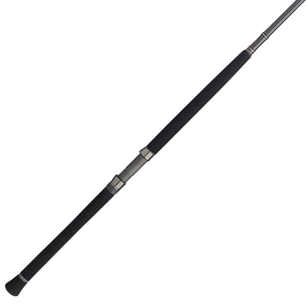 Penn Carnage III Boat Conventional Fishing Rod, Silver/Black/Gold