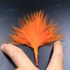 WellieSTR 100pcs 10 Colors asssorted Turkey Marabou Blood Feathers Fly Tying Woolly Bugger Dyed Feather Materials Bonefish Fly view 4