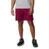 Columbia Men's Washed Out Cargo Short, Red Onion, 38W x 6L view 1