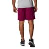 Columbia Men's Washed Out Cargo Short, Red Onion, 38W x 6L view 2