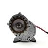 Freewheel 250W Brushed Motor with Gearbox Using Bicycle 16 Teeth Freewheel Gear Rotate Clockwise (36V 250W) view 3